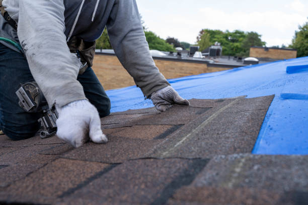 Best New Roof Installation  in Savannah, TN