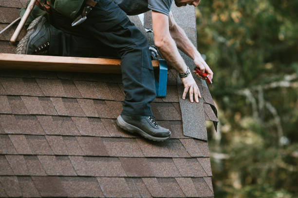 Professional Roofing Contractor in Savannah, TN