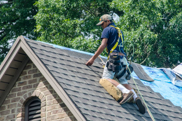 Best Roof Restoration Services  in Savannah, TN